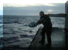 Fishermen's wreath.