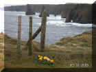 View of the Cross and Stacks.