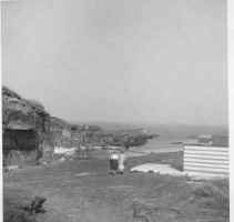 Famous "Trinkies" and shop